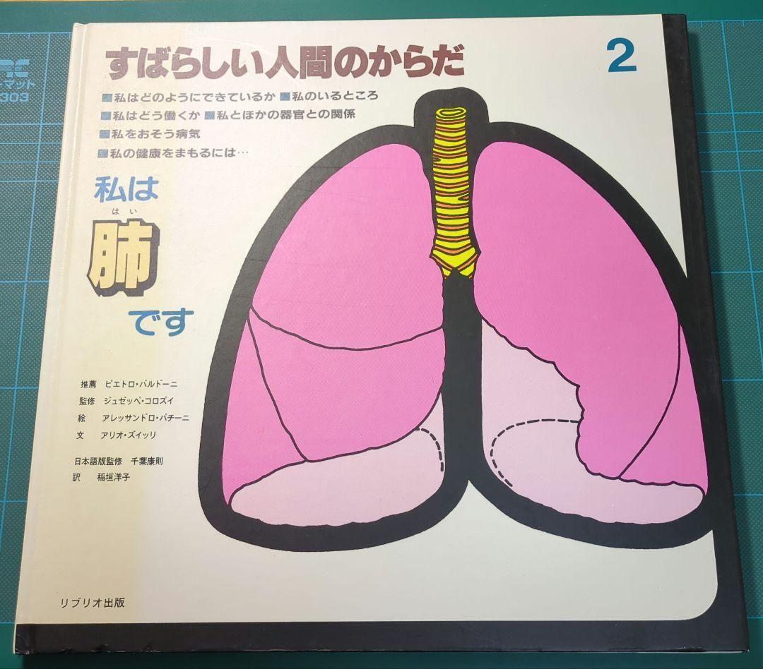 古本 レア 入手困難　すばらしい人間のからだ 全12巻まとめ　健康 医学 絵本