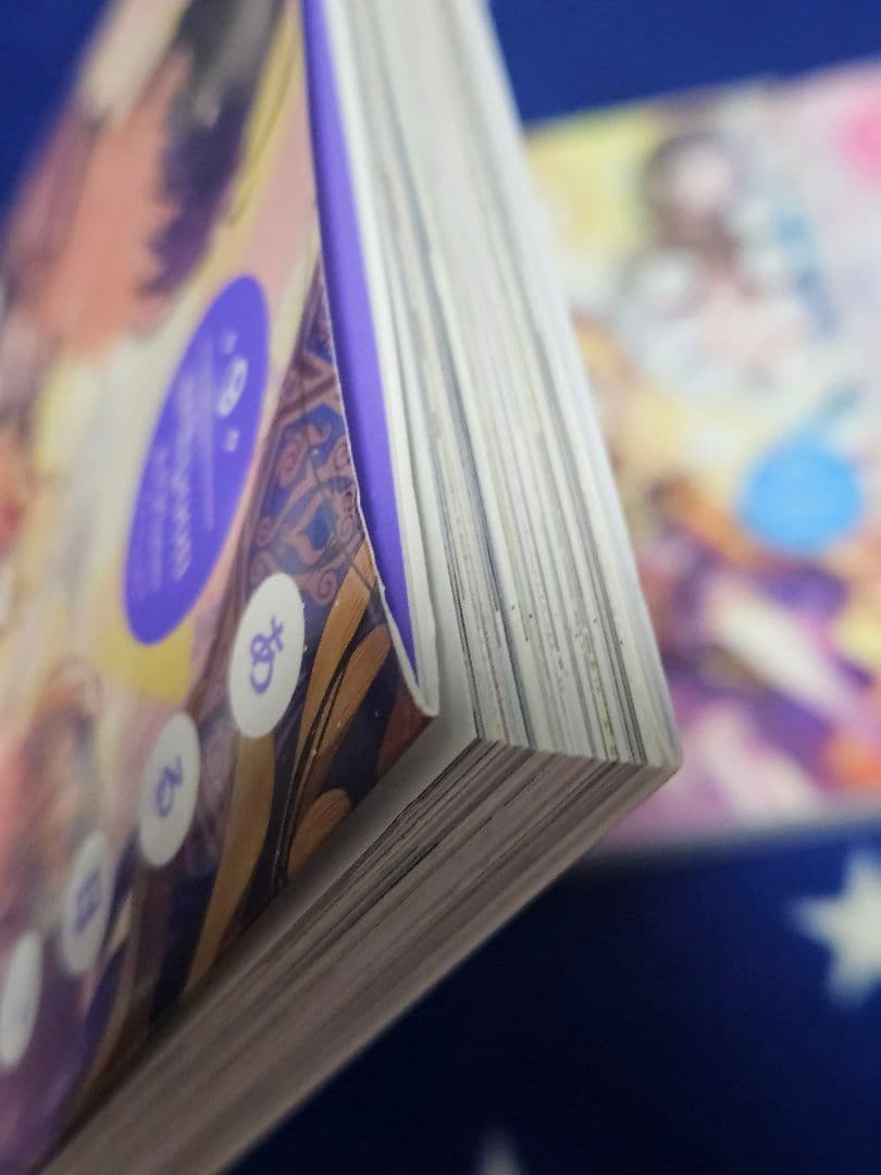ある日、お姫様になってしまった件について　11巻セット