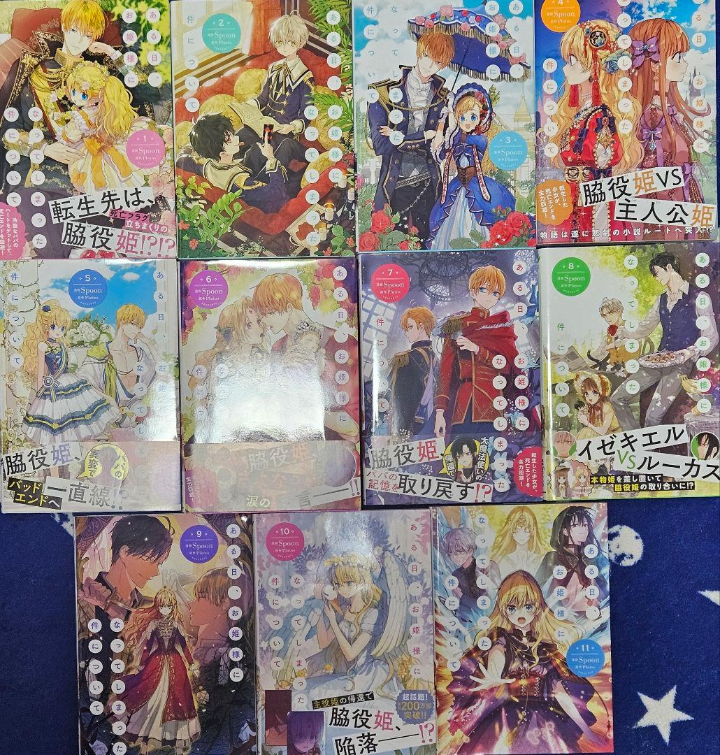 ある日、お姫様になってしまった件について　11巻セット