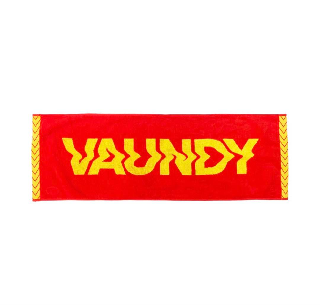 VAUNDYドームツアー　ライブTシャツ(M)、タオル(大阪)、ラバーバンド