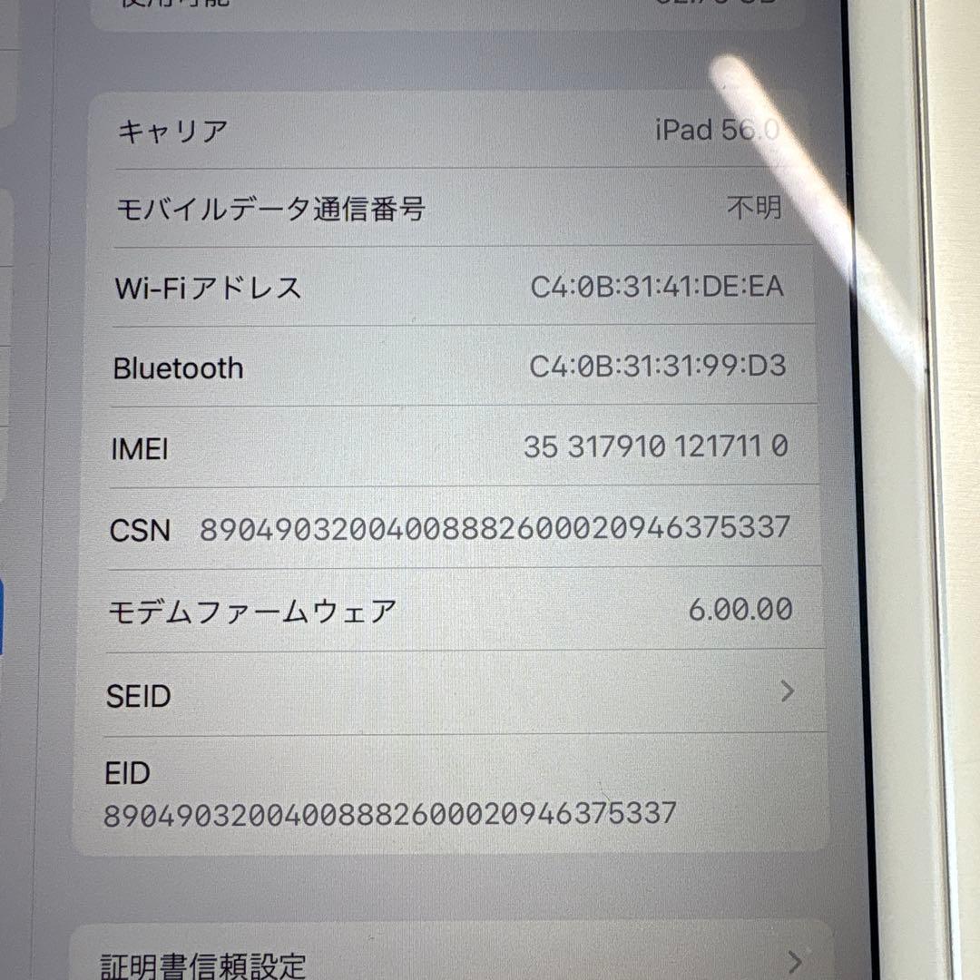 iPad mini5 セルラー 64GB SIMフリー(77)