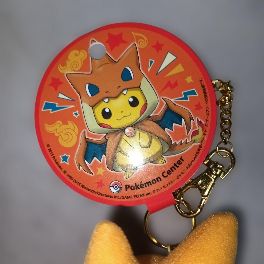 メガリザードンYポンチョを着たピカチュウ マスコットぬいぐるみ ポケモンセンター