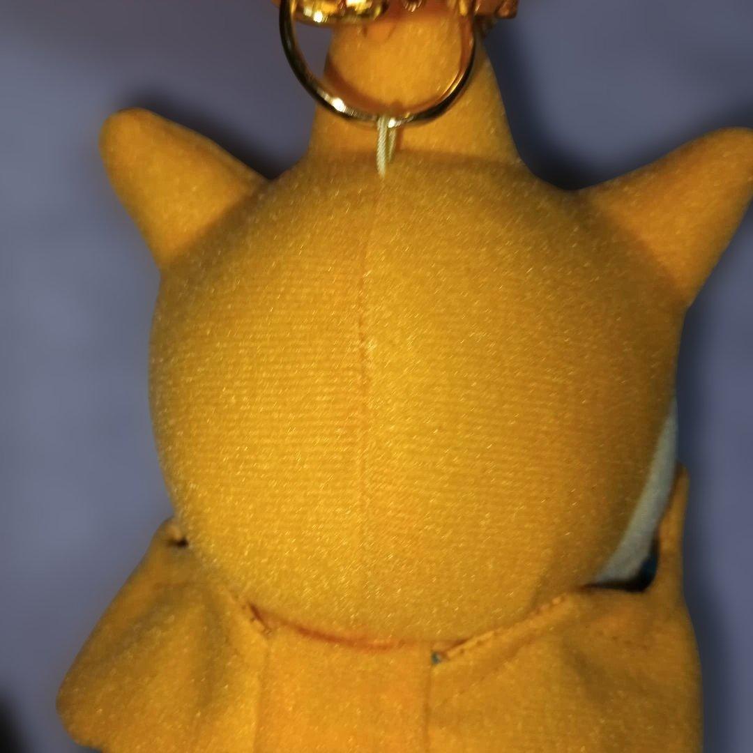 メガリザードンYポンチョを着たピカチュウ マスコットぬいぐるみ ポケモンセンター