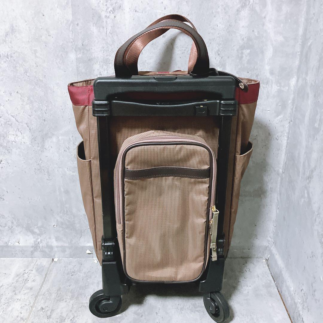 【希少・廃盤品】SWANY キャリーバッグ ルバンド L21 グレージュ