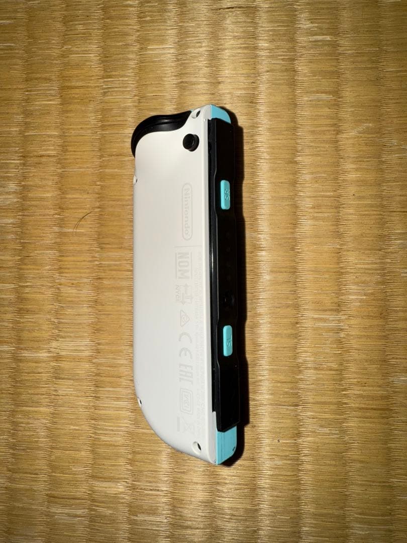 Nintendo Switch 本体 あつまれどうぶつの森セット＋ソフトおまけ