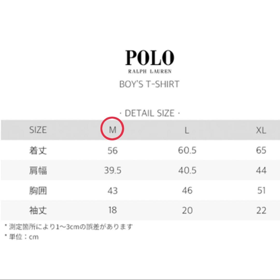【レア】Polo Ralph Lauren ポロベアTシャツ