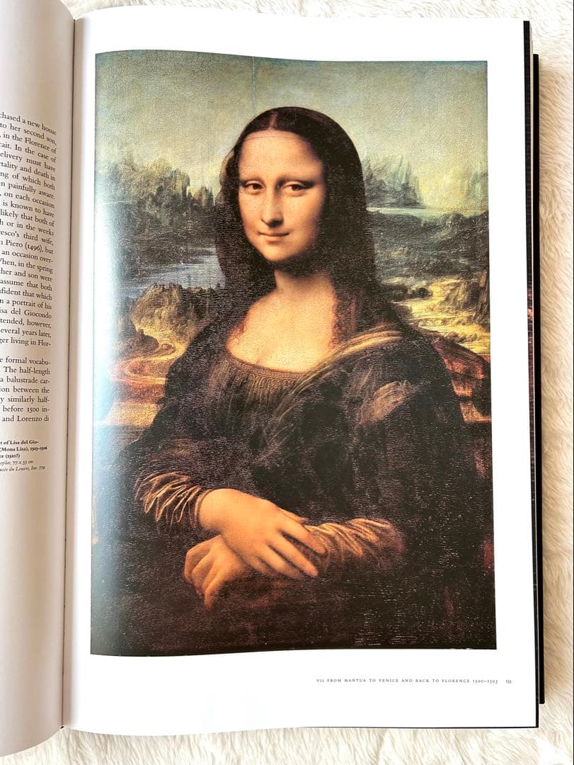 Leonardo da Vinciレオナルド・ダ・ヴィンチ430ページの詳細な本