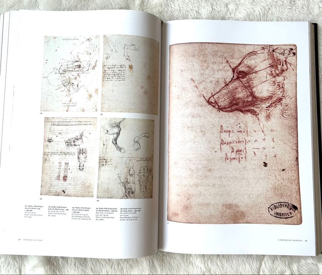 Leonardo da Vinciレオナルド・ダ・ヴィンチ430ページの詳細な本