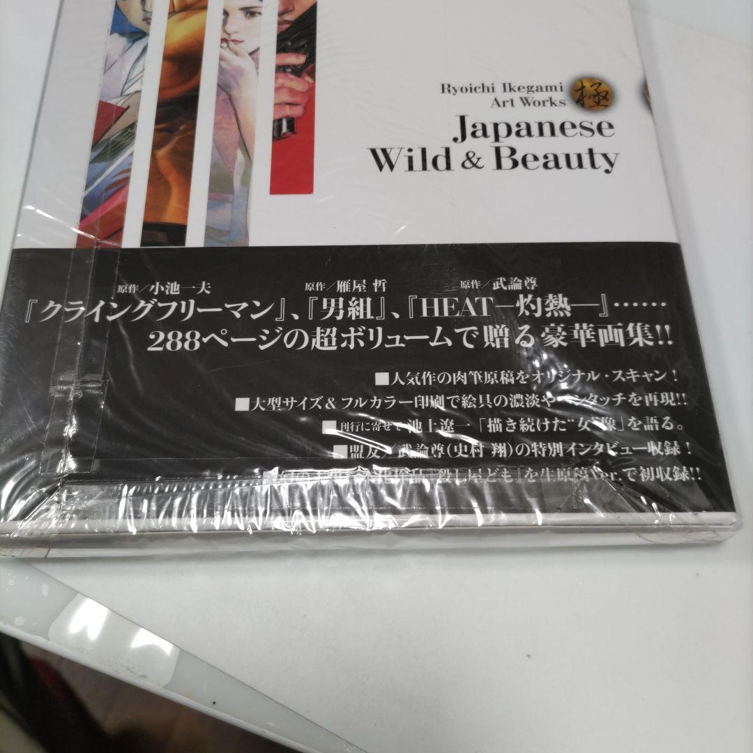 236. 池上遼一 Art Works 男編&女編