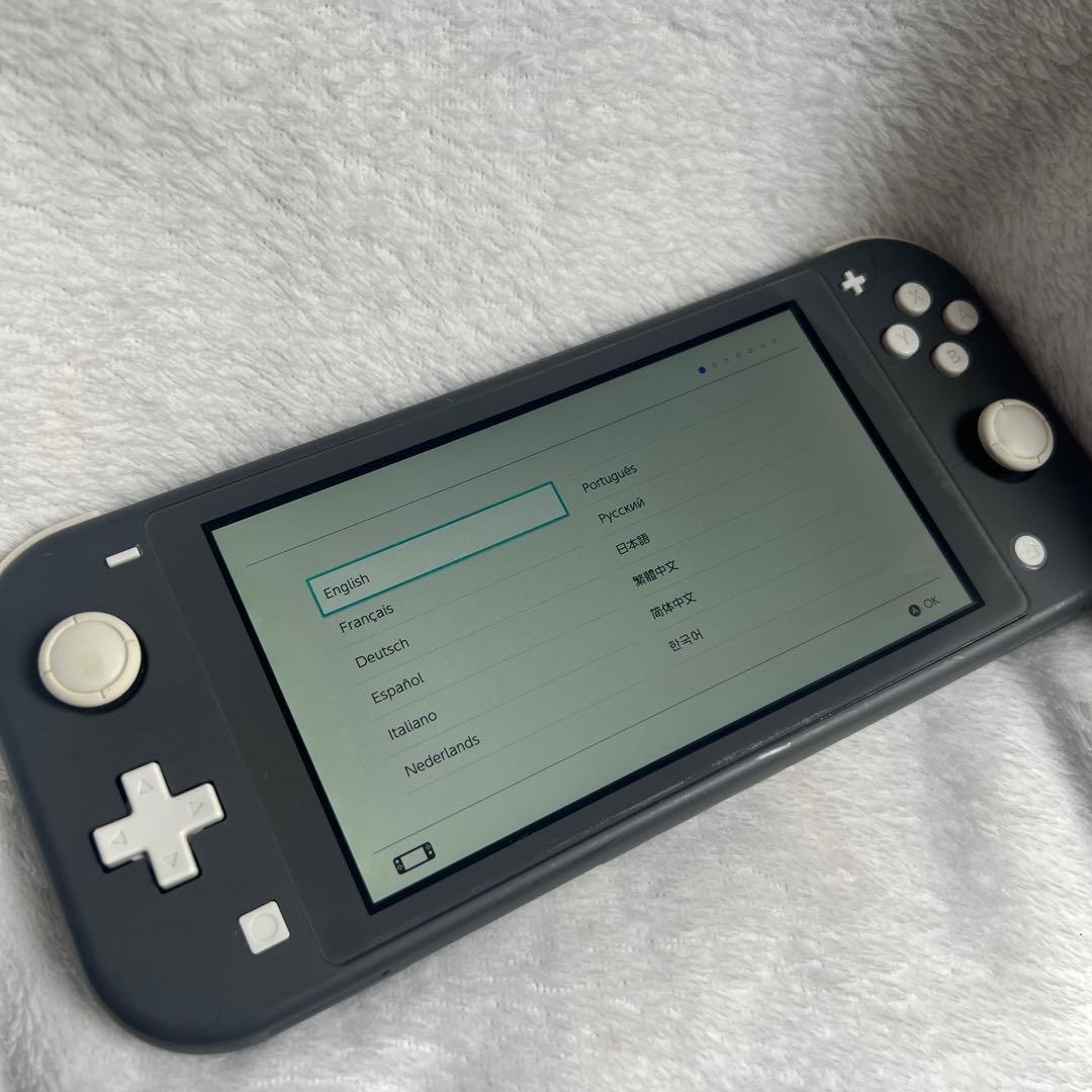 Nintendo Switch Lite グレー 本体 2021年製