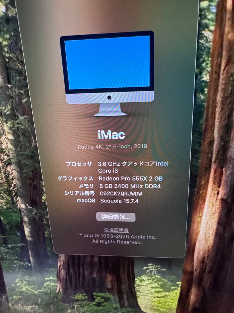 iMac Retina 4K 21.5インチ 2019 a 2116