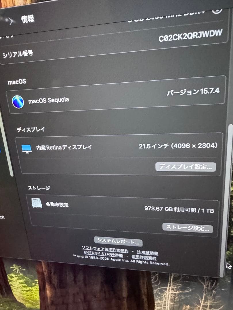 iMac Retina 4K 21.5インチ 2019 a 2116