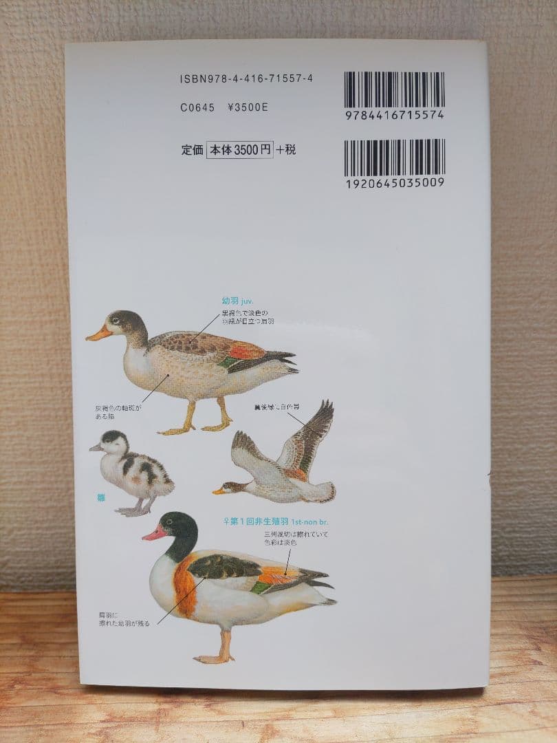 日本のカモ識別図鑑