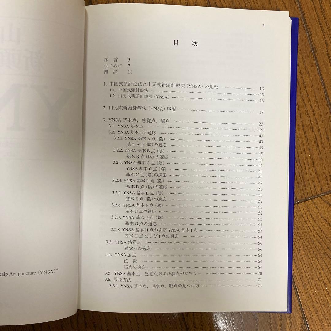 山元式新頭針療法YNSA