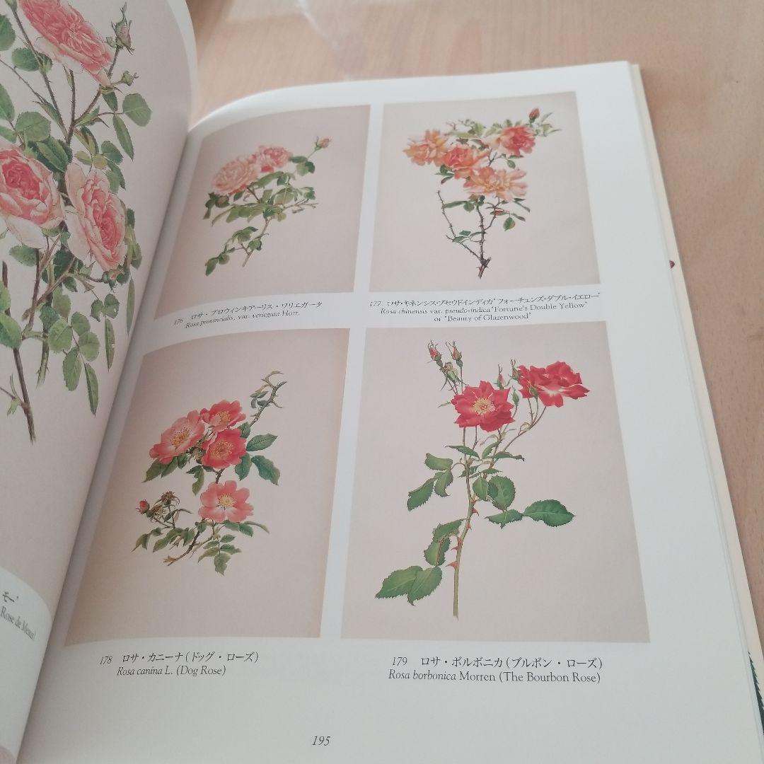 薔薇空間 宮廷画家ルドゥーテとバラに魅せられた人々