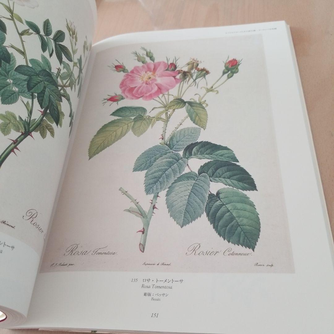薔薇空間 宮廷画家ルドゥーテとバラに魅せられた人々