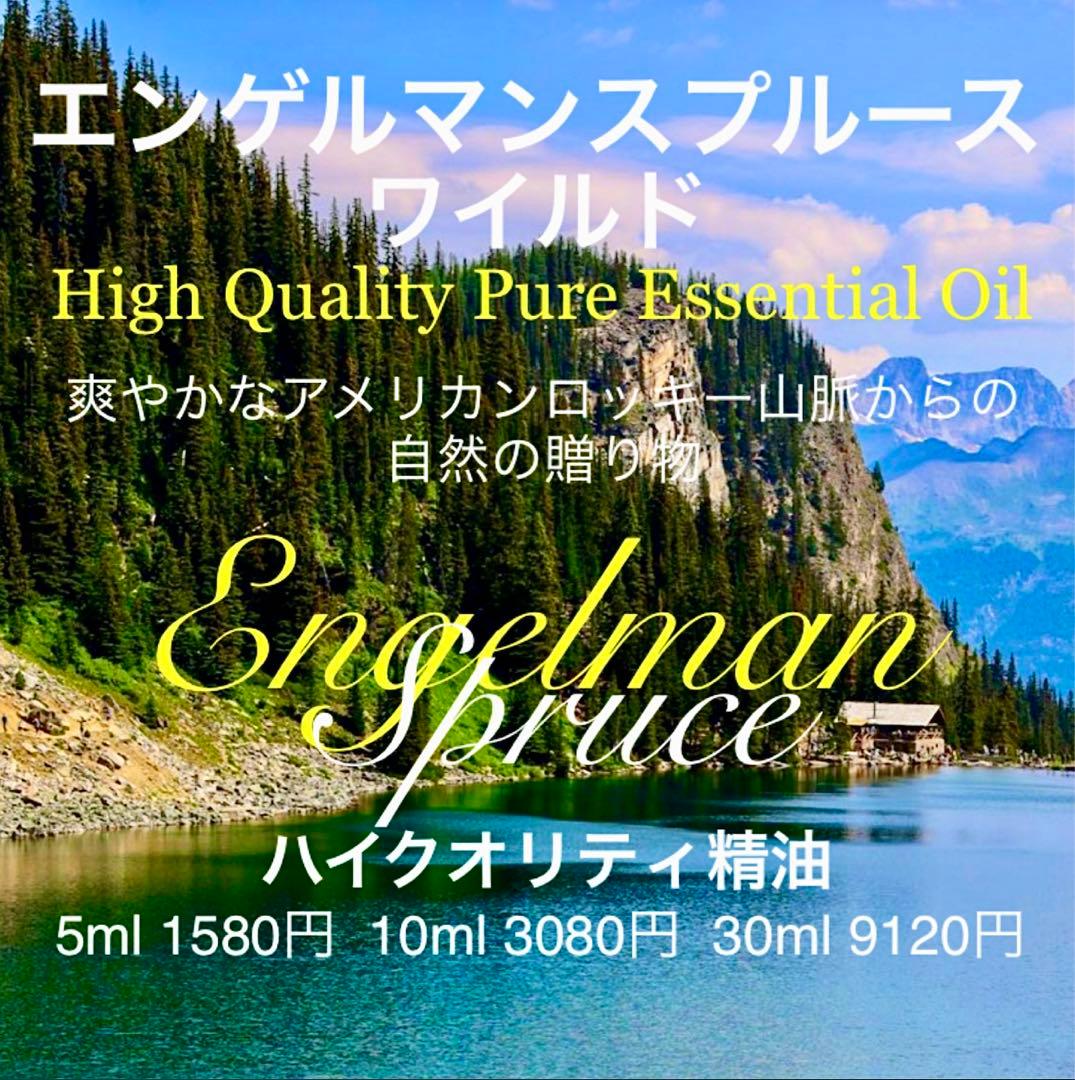 hatanakamorimori様 リクエスト 3点 まとめ商品