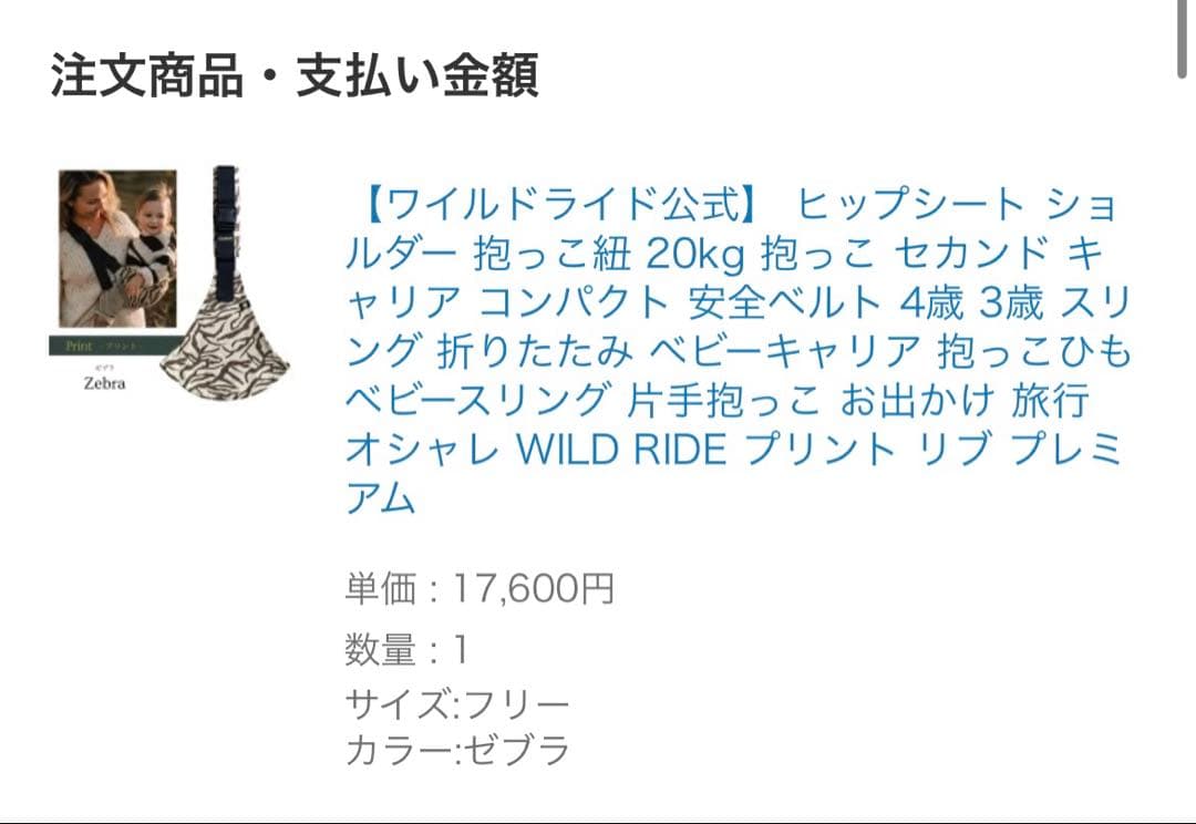 WILD RIDE ワイルドライド ヒップシート ショルダー 抱っこ紐