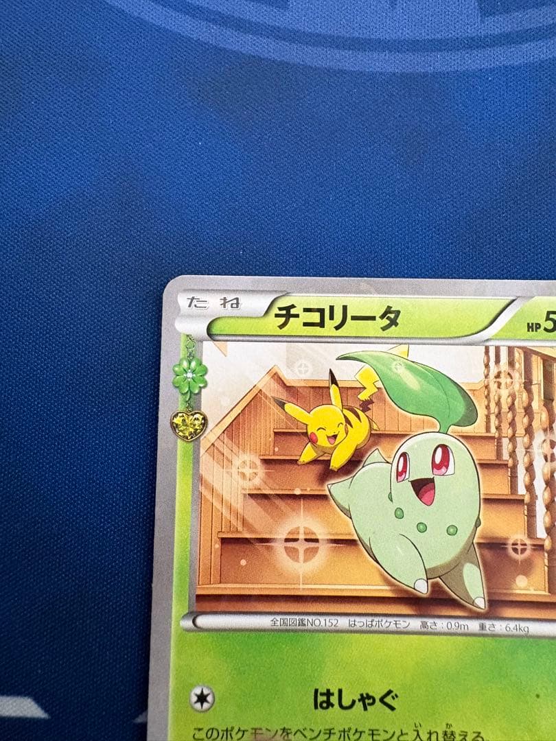 ポケカポケモンカードXYポケキュンコレクションチコリータピカチュウ srarsa