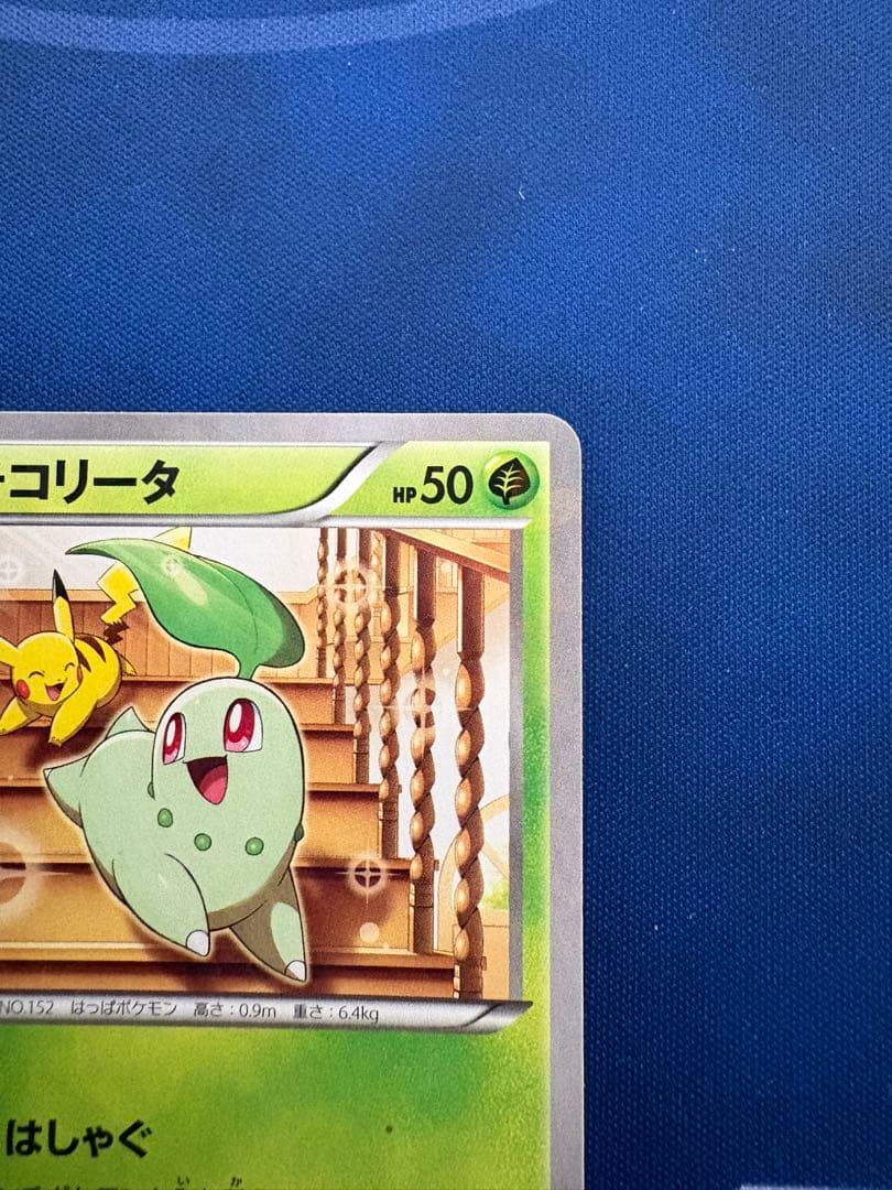 ポケカポケモンカードXYポケキュンコレクションチコリータピカチュウ srarsa
