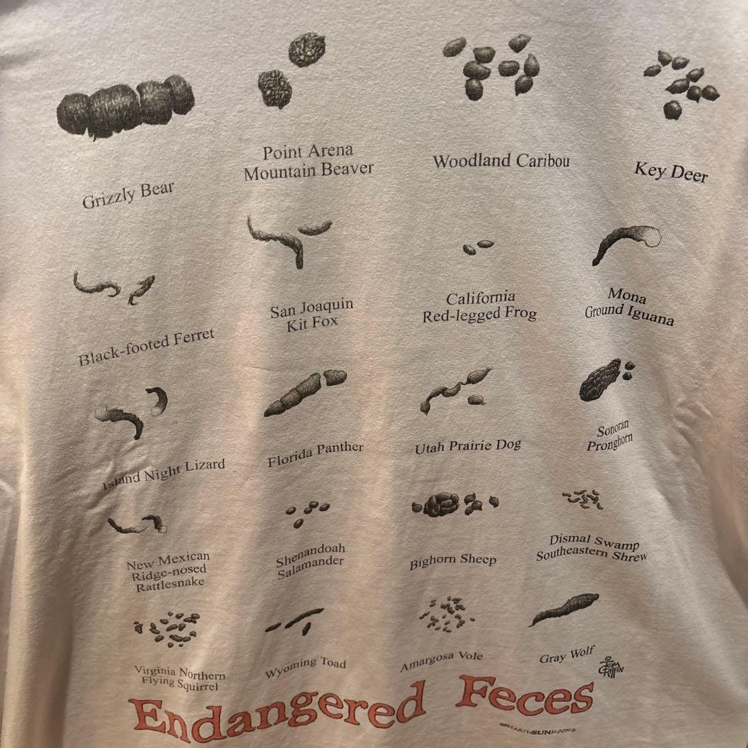 GILDAN アーチタグ　うんこ　tシャツ 90's アート