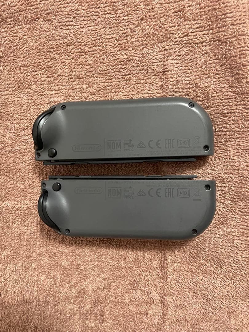 Nintendo Switch 本体 ケース付き