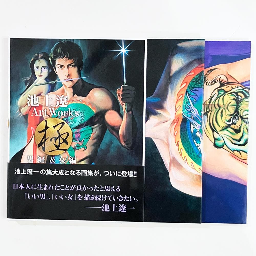 池上遼一 Art Works 男編＆女編