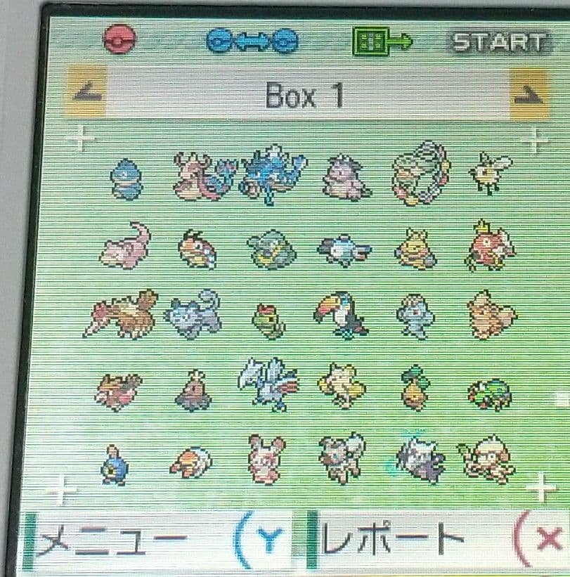 ポケットモンスター ムーン 北米版 3DS ポケモン USA 海外版 ソフトのみ