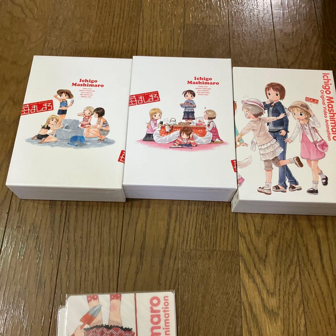 苺ましまろ オリジナルビデオアニメーション　DVDセット