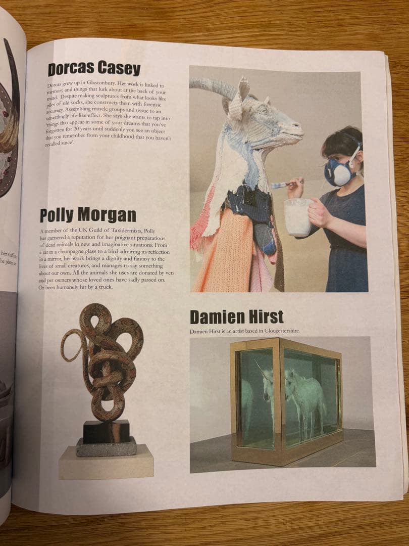 Dismaland ディズマランド パンフレット BANKSY バンクシー