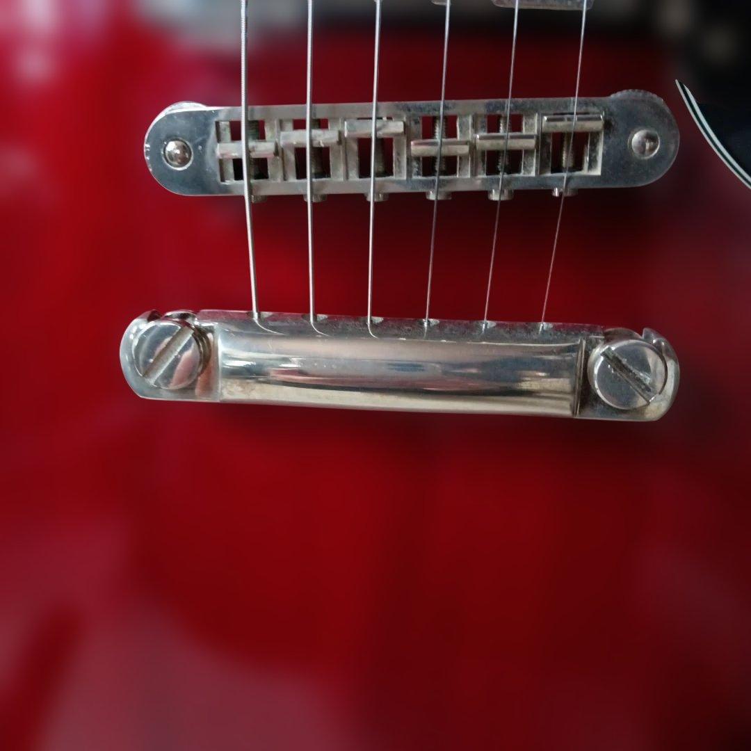 Burny SG 【値引き不可?】