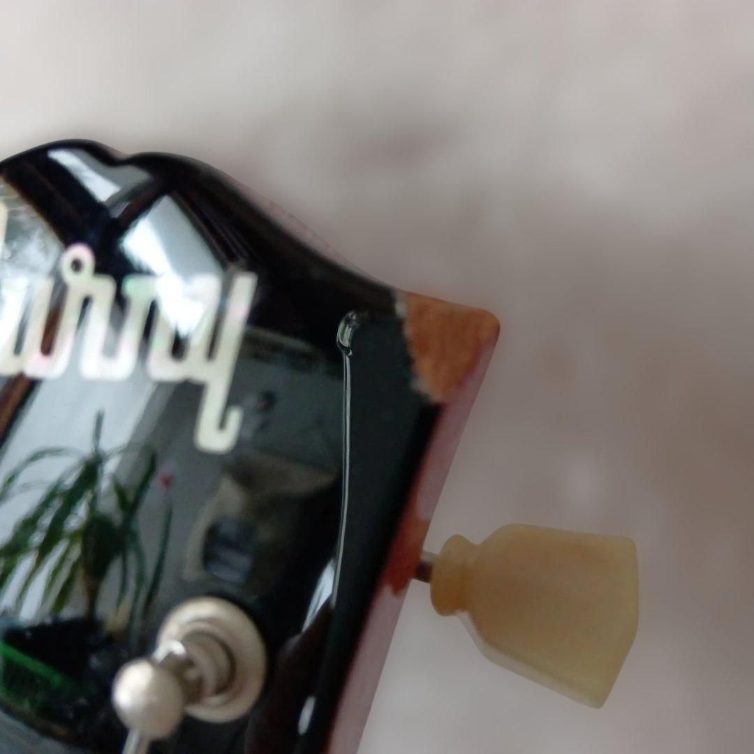 Burny SG 【値引き不可?】