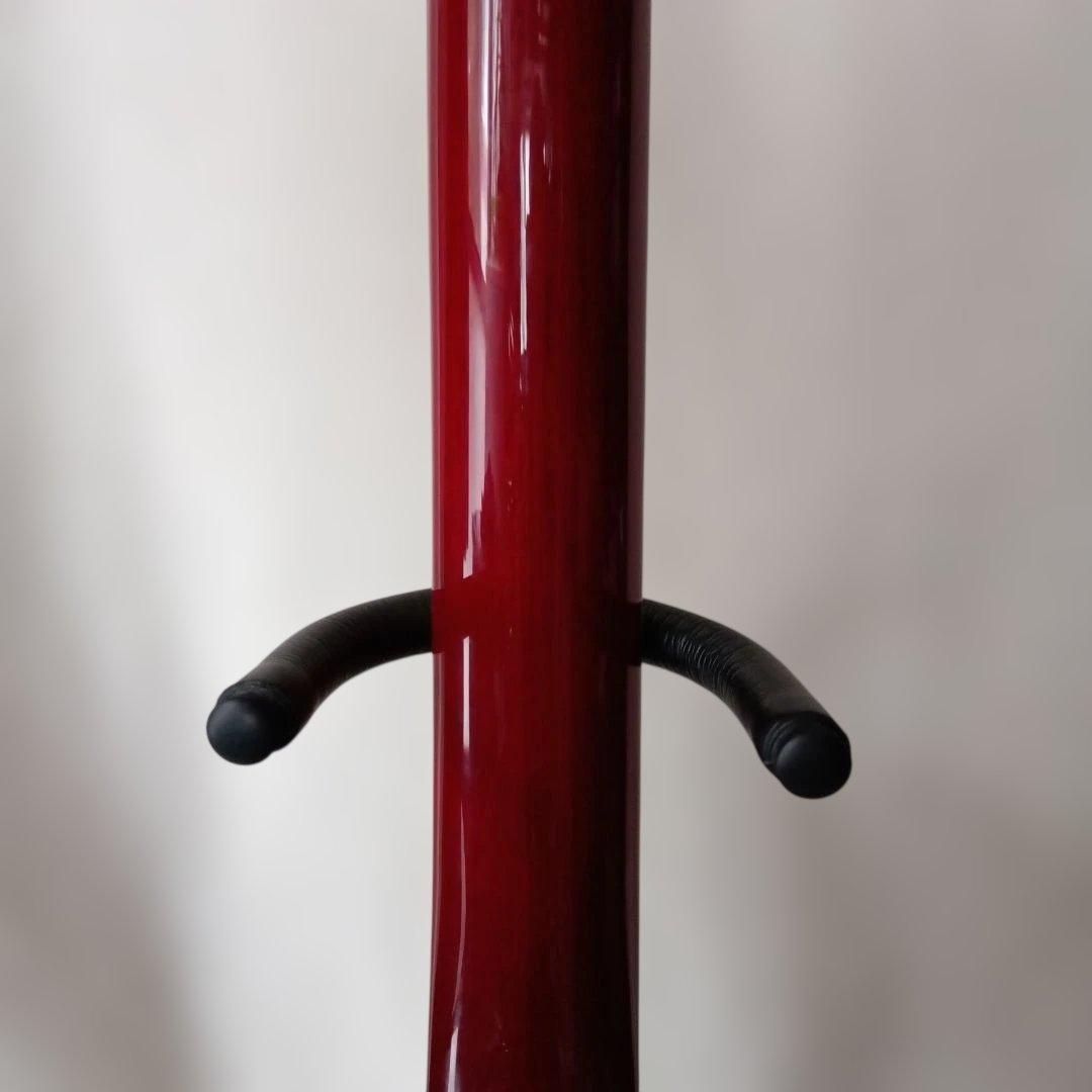 Burny SG 【値引き不可?】