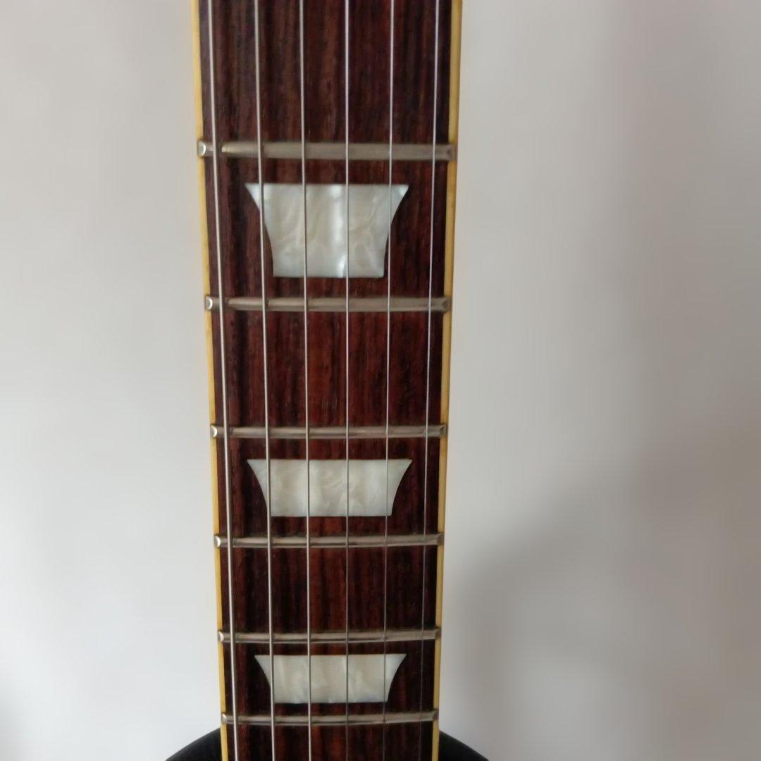 Burny SG 【値引き不可?】