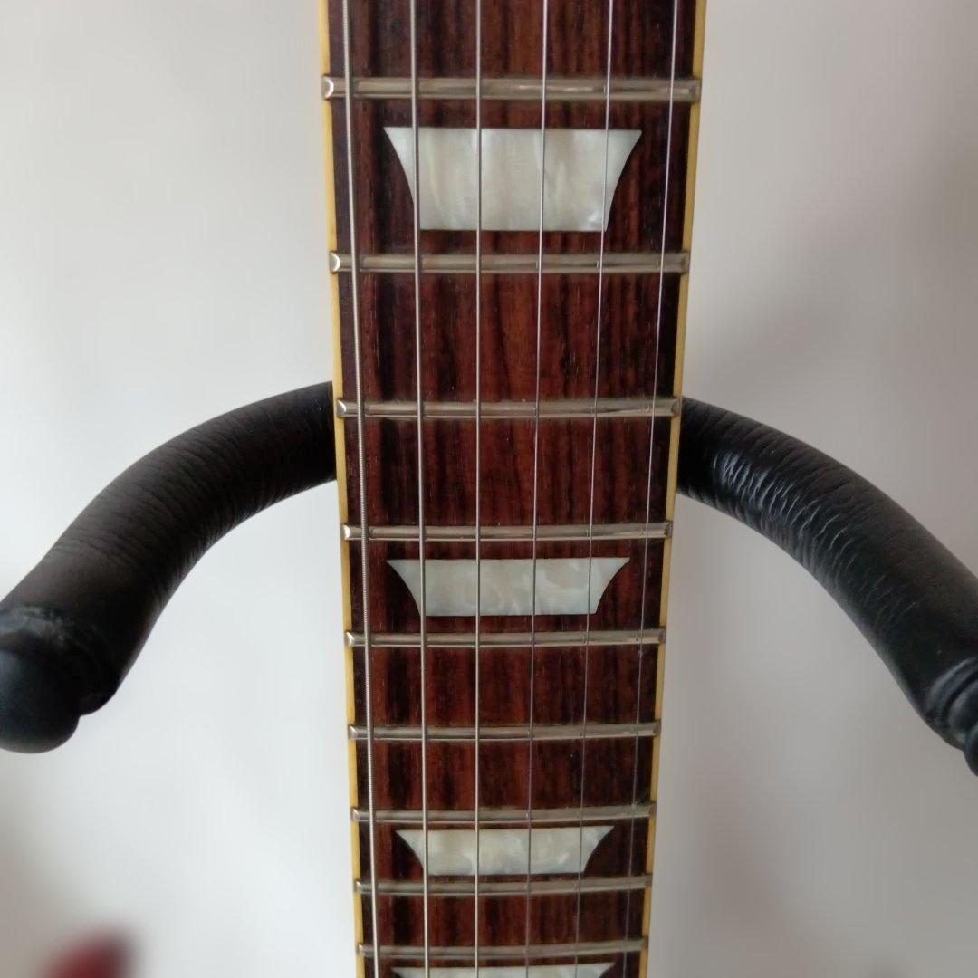 Burny SG 【値引き不可?】