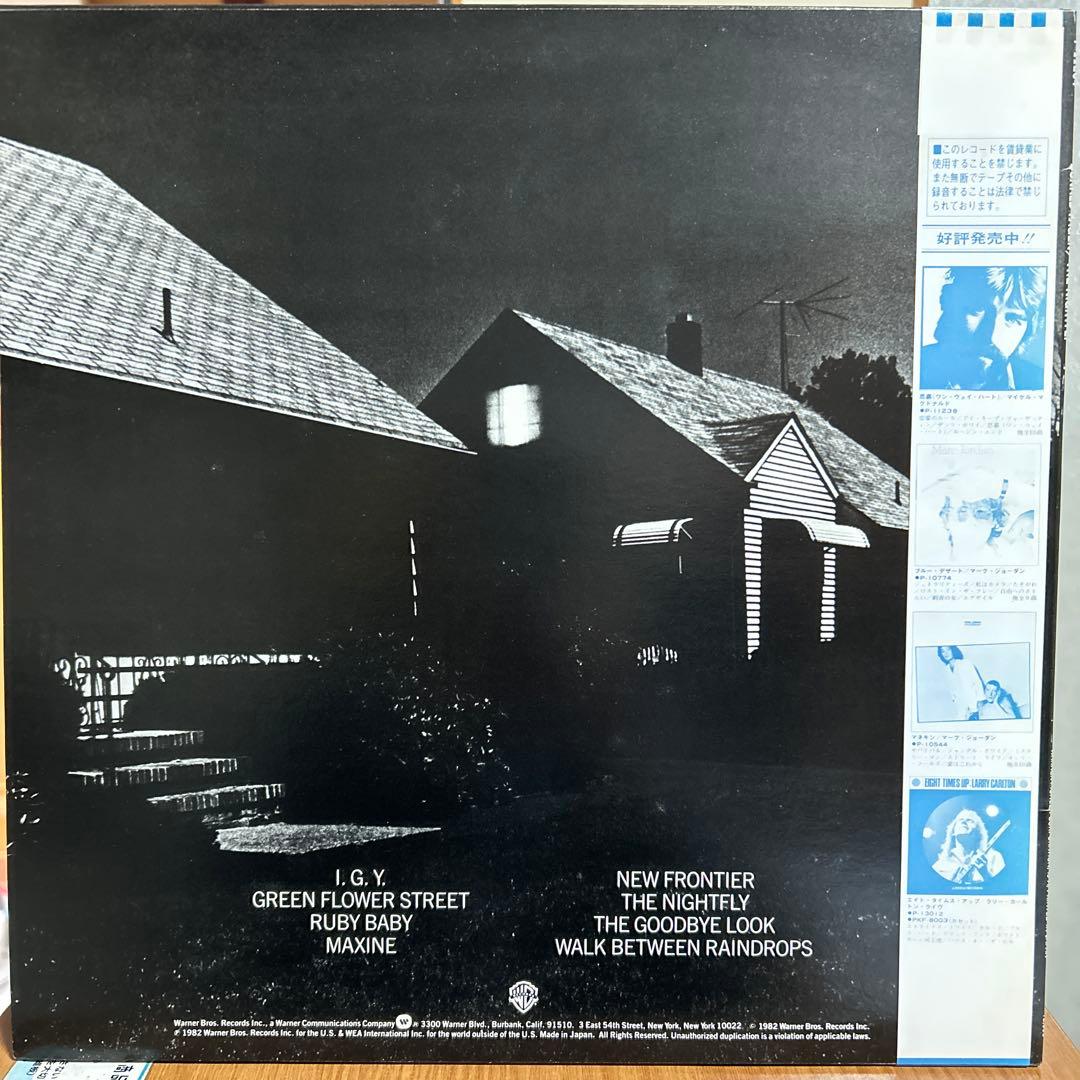 steely dan／スティーリーダン／82年両面刻印／真のオリジナルレコード盤