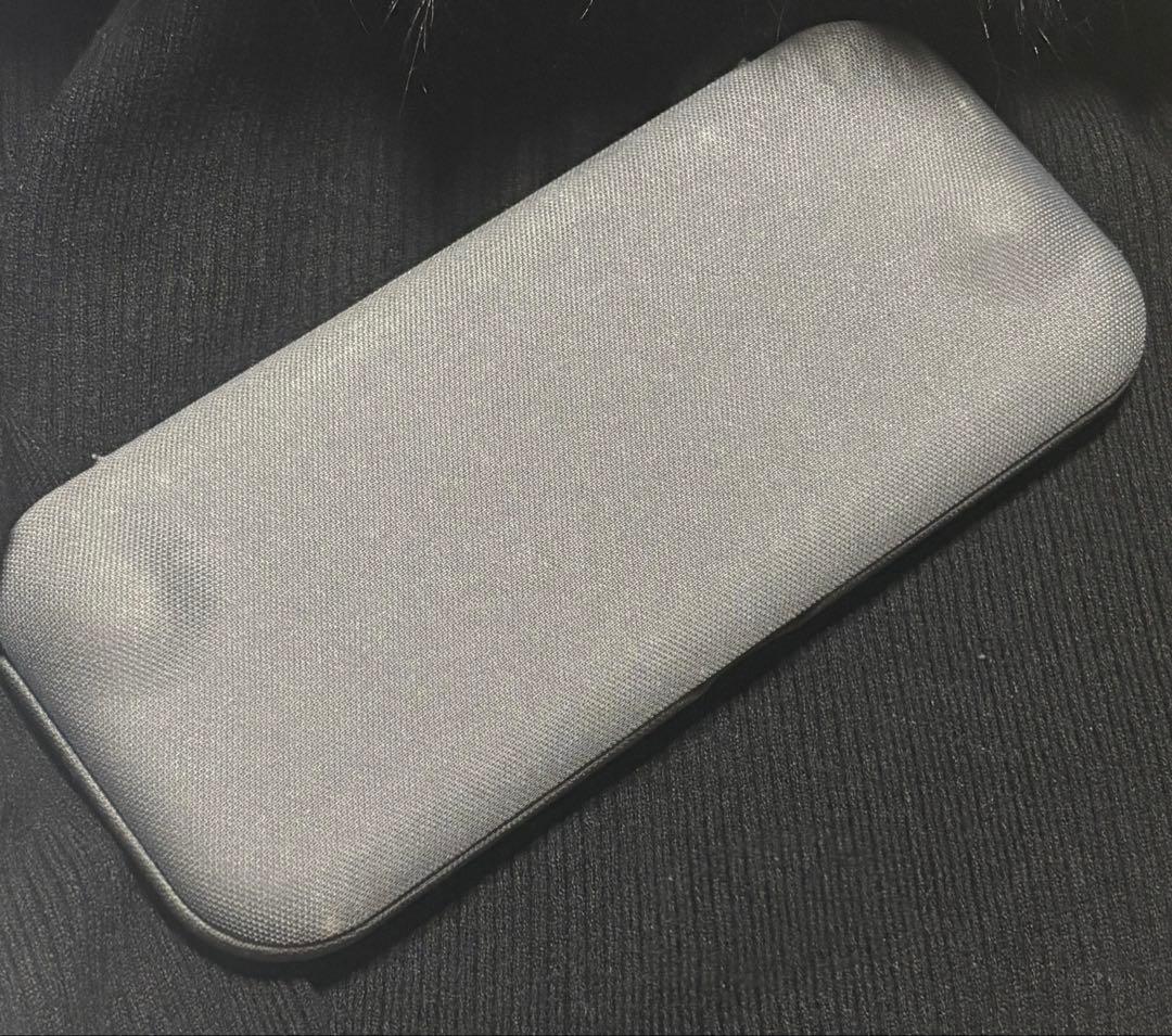 Nintendo Switch Lite グレー　専用ケース付き