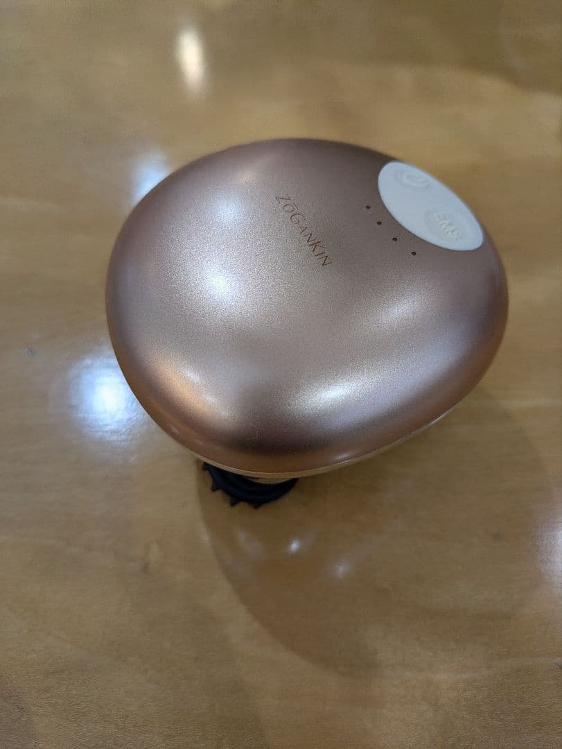 ゾーガンキンスカルプ
