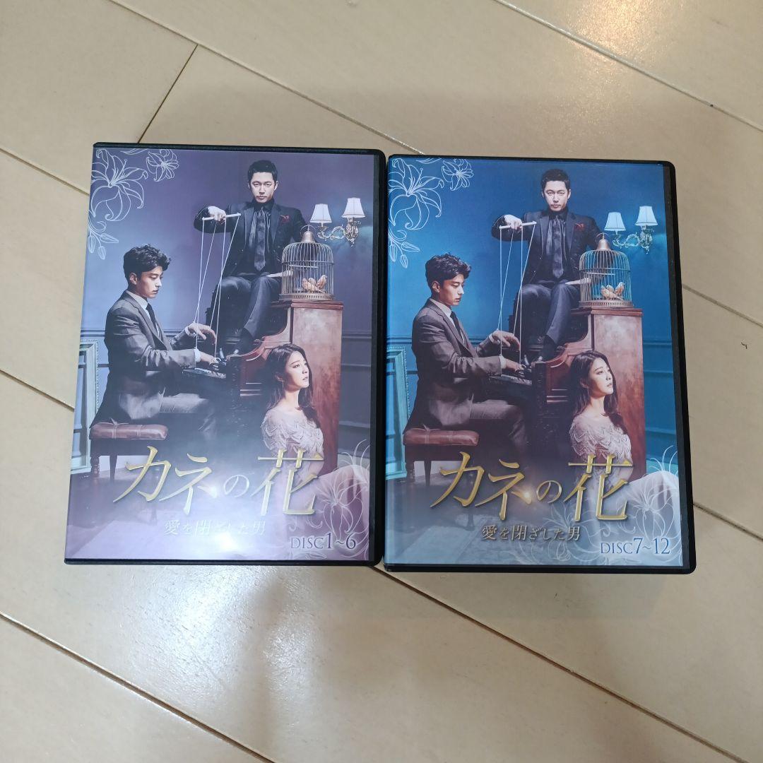 カネの花～愛を閉ざした男 DVD-BOX1.2