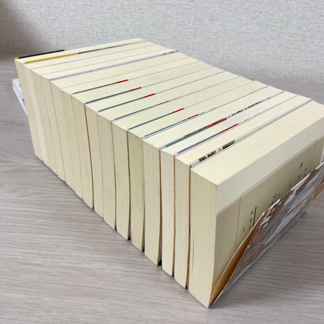 十二国記　全巻セット　小野不由美　白銀の墟玄の月　ガイドブック　新潮文庫　完結