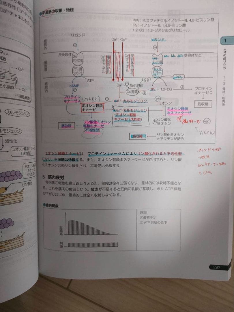 110回国試 青本青問フルセット＋模試解説書