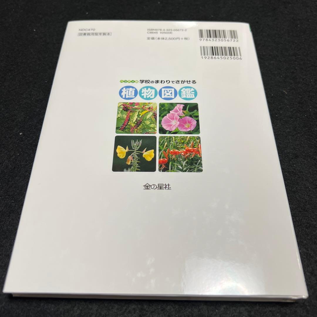 学校のまわりでさがせる植物図鑑 ハンディ版 春 夏 秋冬 樹木 全4冊セット