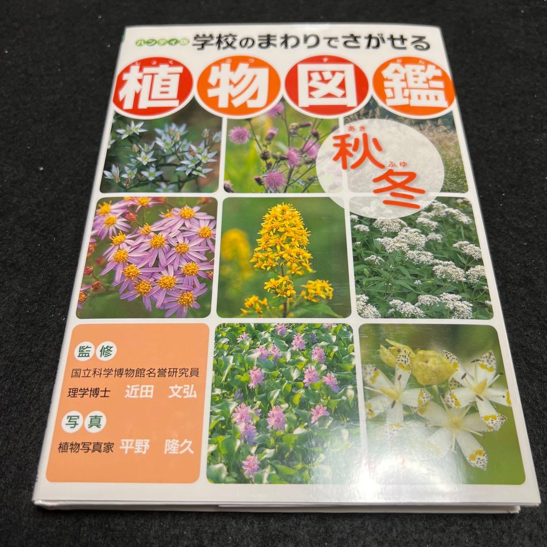 学校のまわりでさがせる植物図鑑 ハンディ版 春 夏 秋冬 樹木 全4冊セット