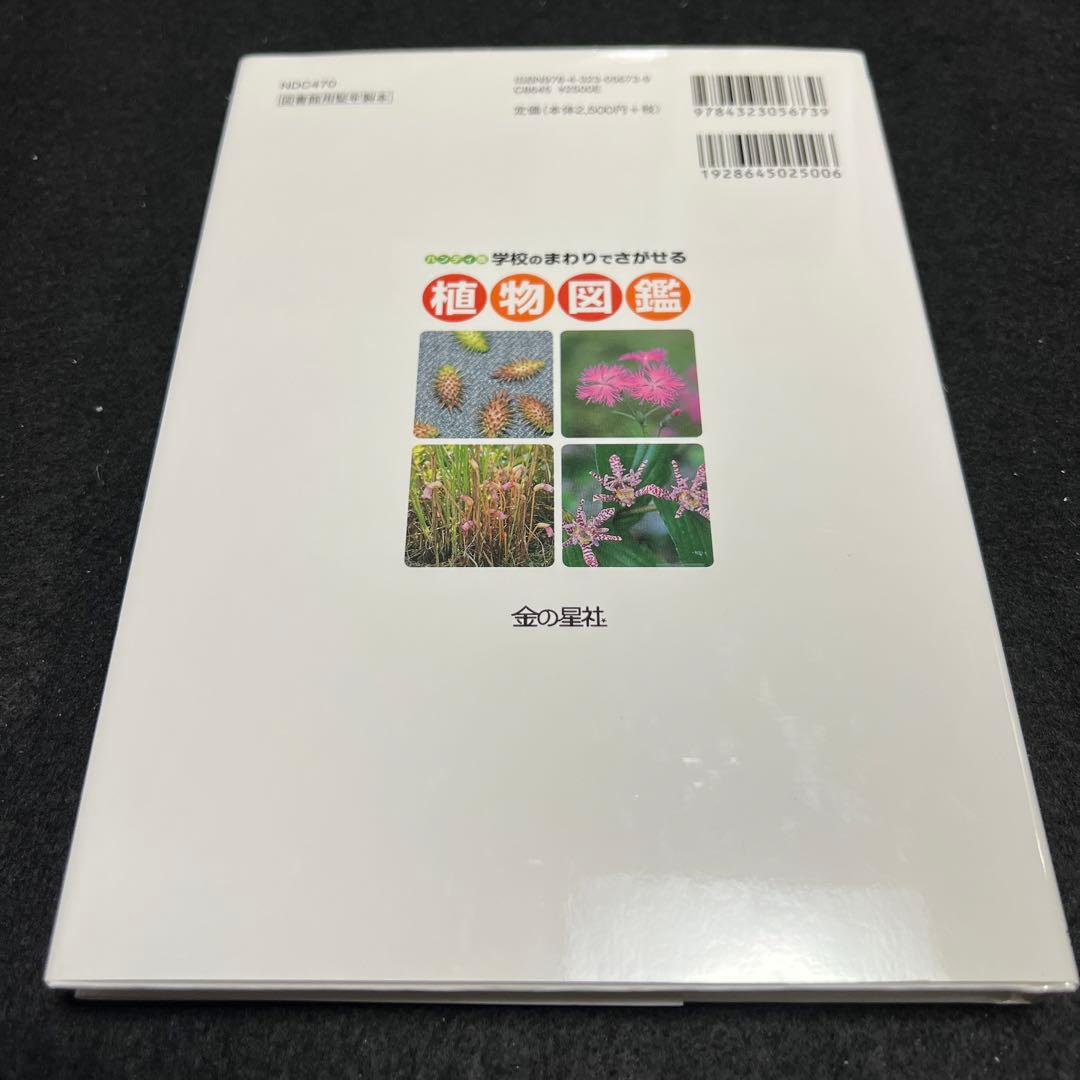 学校のまわりでさがせる植物図鑑 ハンディ版 春 夏 秋冬 樹木 全4冊セット