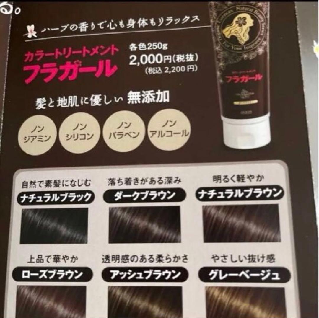 【水木限定価格】フラガール カラートリートメント ナチュラルブラック 250g