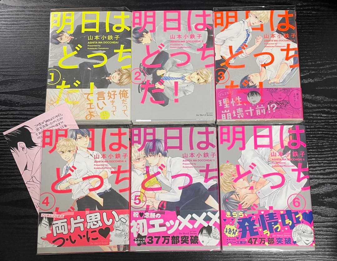 明日はどっちだ! 1～12巻 全巻セット 小冊子 ペーパー