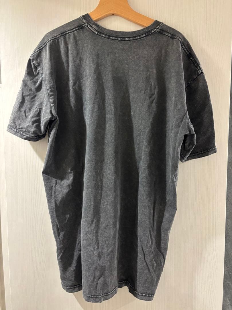 TYLA Aisa tour Tシャツ XLサイズ