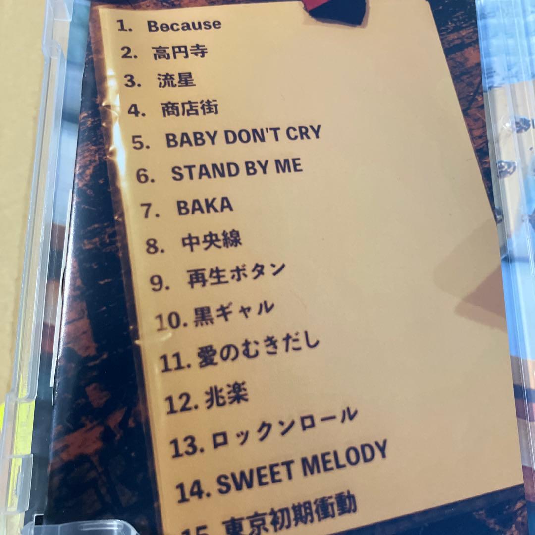 東京初期衝動　ぼくたちは何だかすべて忘れてしまうね　DVD