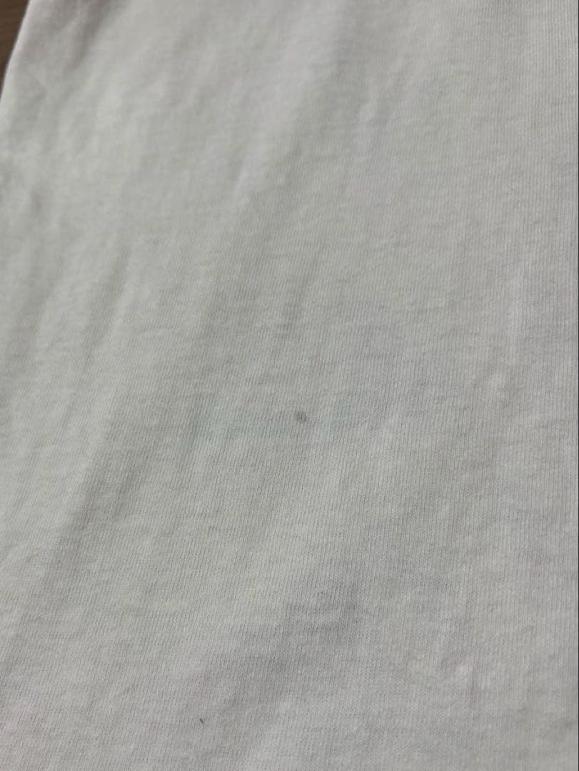 90s MICHIGAN RAG CO. ミシガンラグ Tシャツ USA製 XL