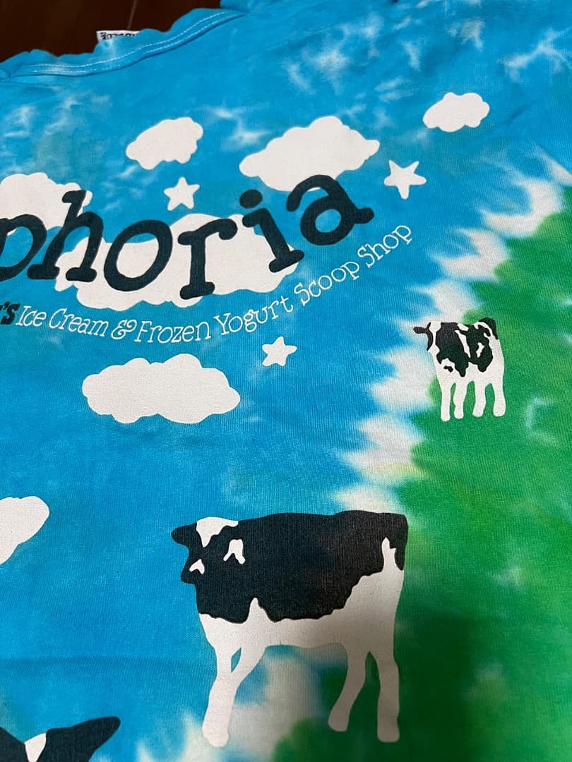 BEN&JERRY'S Tシャツ XXL ヴィンテージ　USA